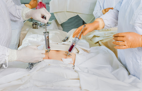 Bone Marrow Transplant